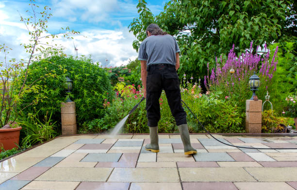 Best Driveway Pressure Washing  in Frackville, PA